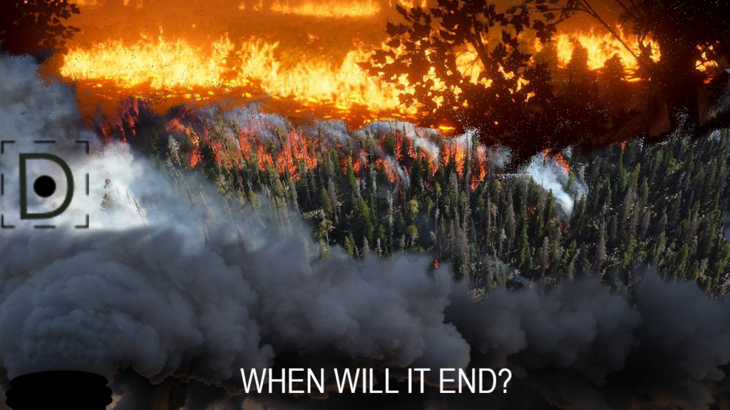 This an infographic made with a smoke image at the bottom, an image of the green forest in the middle and at the top is a wildfire in the same forest. The text on the image is "when will it end?"